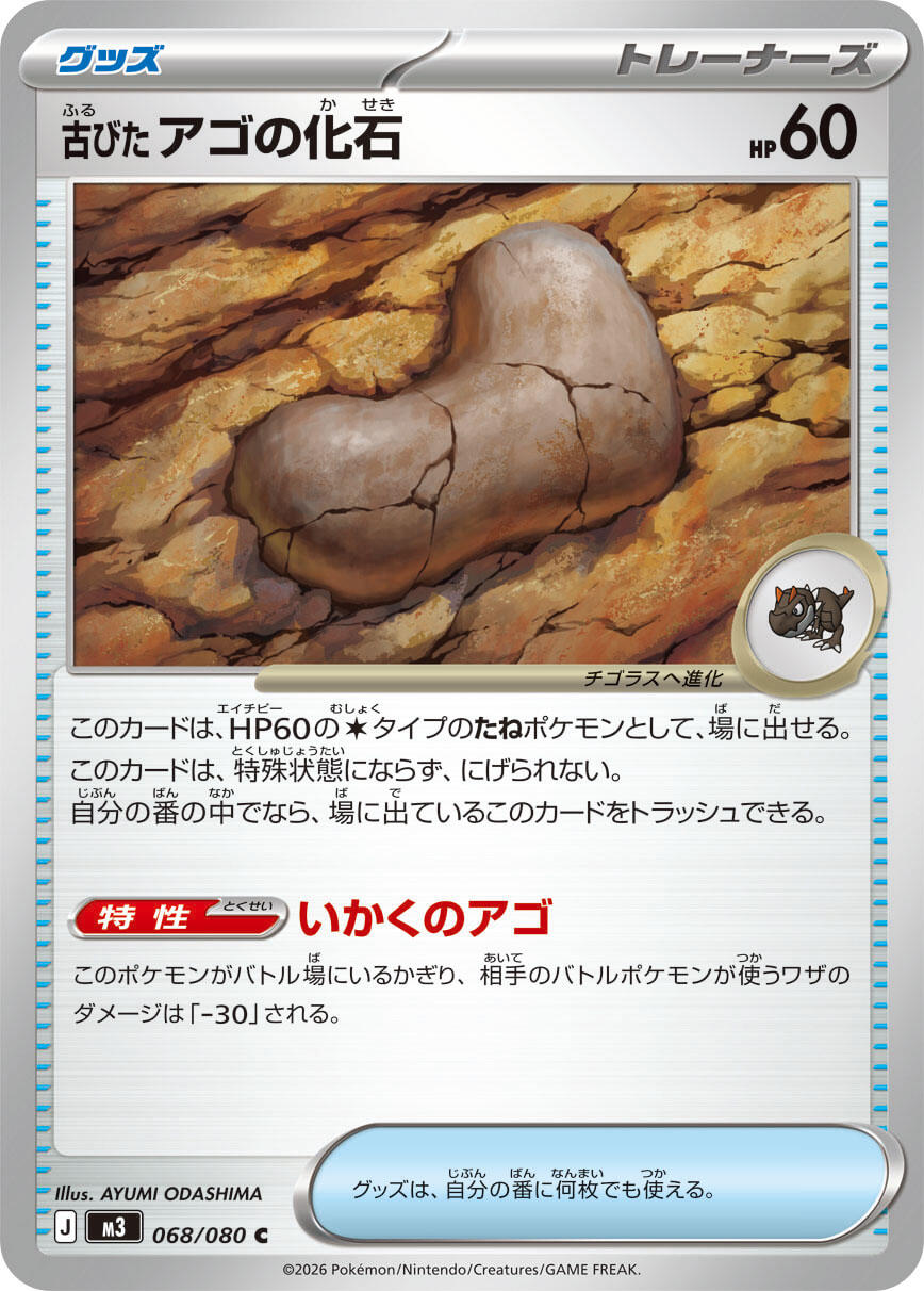 Antique Jaw Fossil [M3 - 068/080]