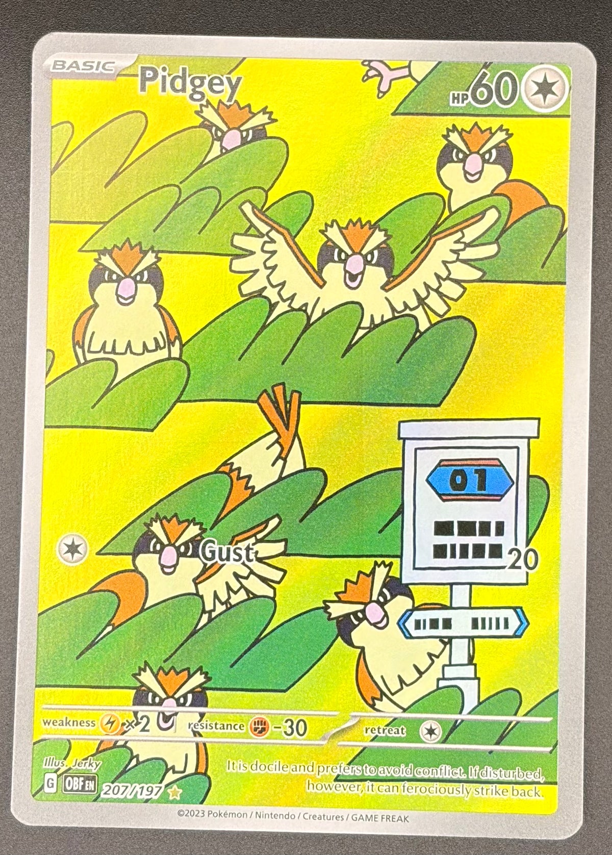 Pidgey #207/197
