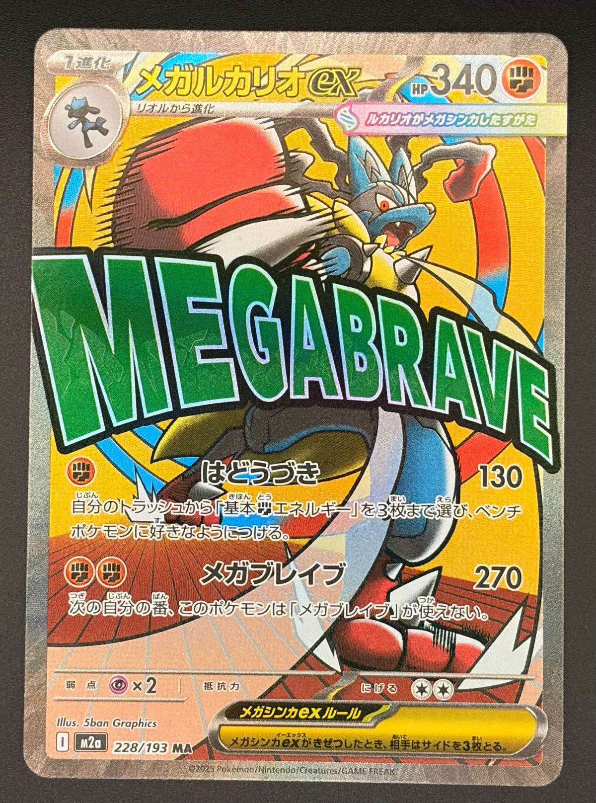 Mega Lucario ex #228/193