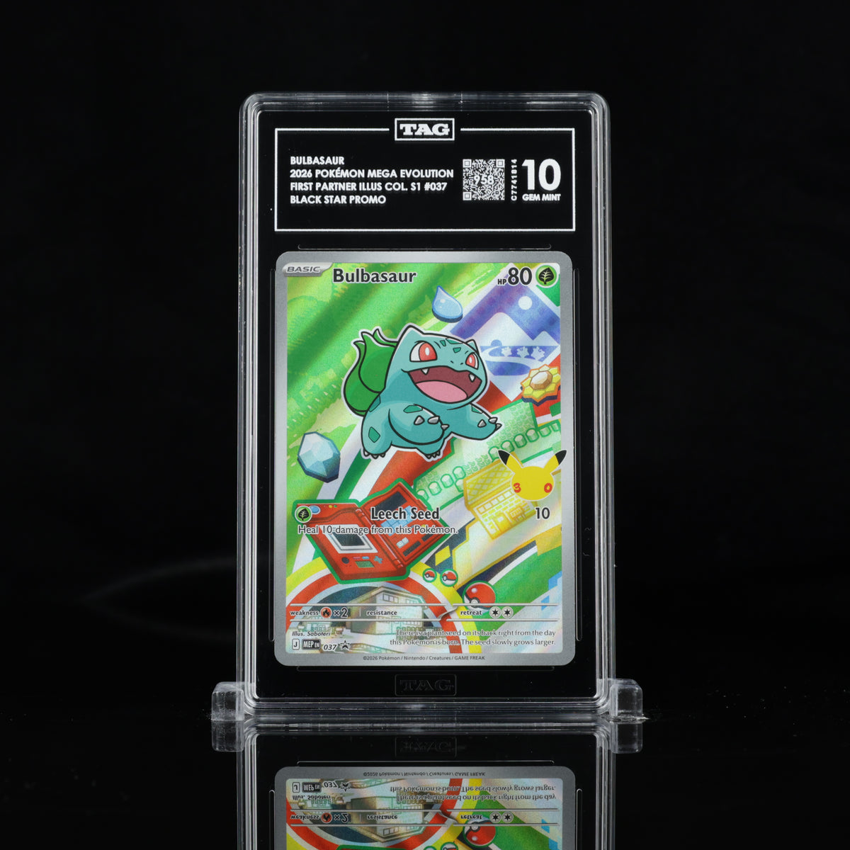 TAG 10 Kanto Starter Sett - Bulbasaur, Charmander & Squirtle
