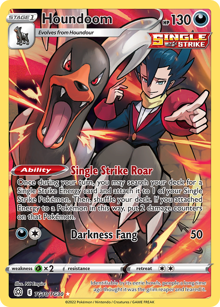 Houndoom - Brilliant Stars Trainer Gallery (Trainer Gallery Rare Holo) [BRS-TG10]